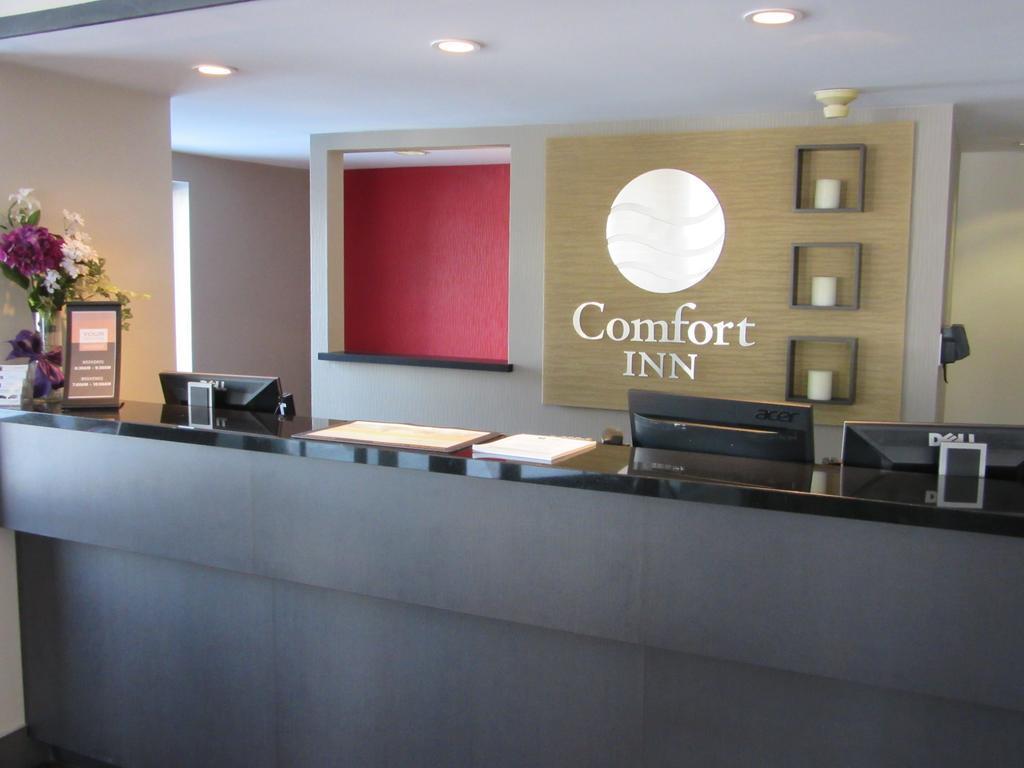 Comfort Inn Кобург Экстерьер фото